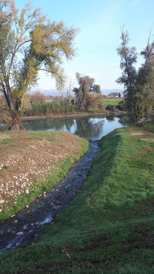 Sulla Ciclabile Apartment Lungo Il Fiume Adige Zevio Екстериор снимка