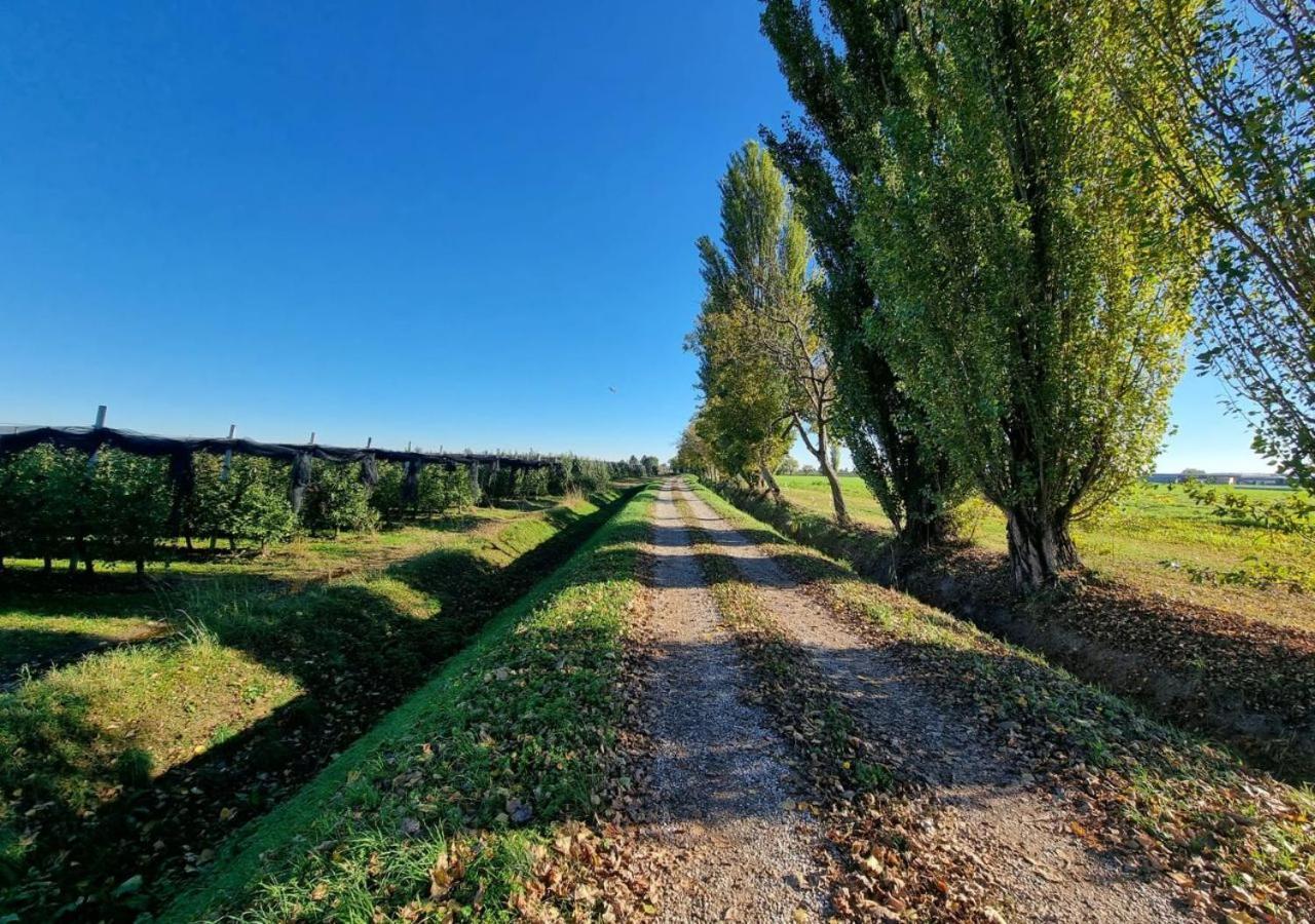 Sulla Ciclabile Apartment Lungo Il Fiume Adige Zevio Екстериор снимка